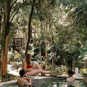 Anand Ecoaldea , Puerto Morelos Mexico